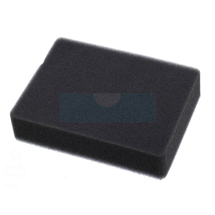 Filtre à air pour moteur Kawasaki (11013-2052)