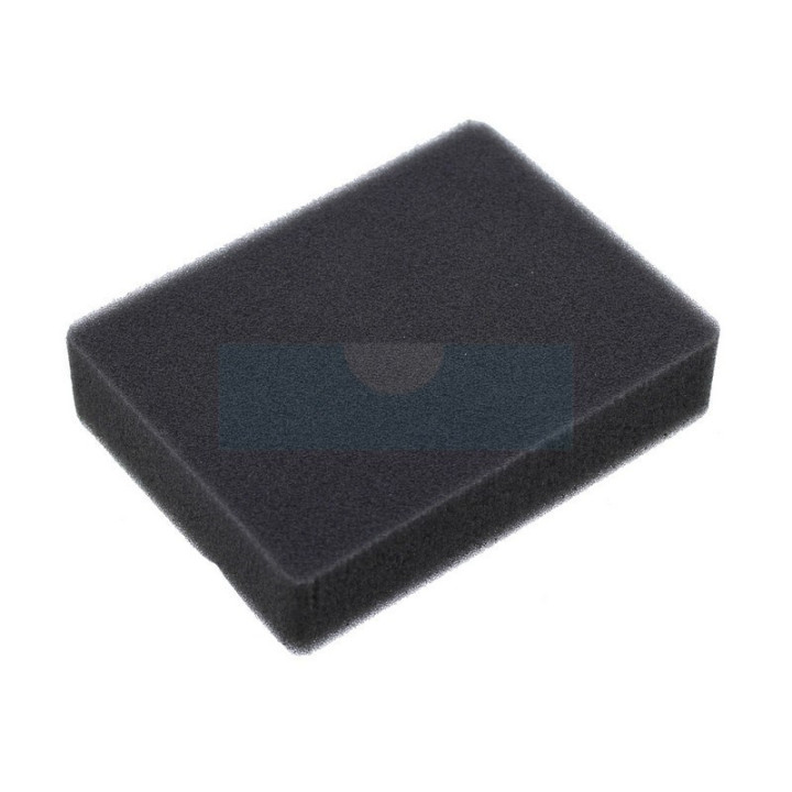 Filtre à air pour moteur Kawasaki (11013-2052)