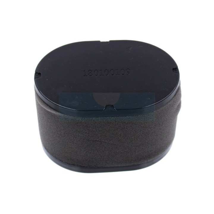 Filtre à air pour moteur Loncin (180100109-0001)