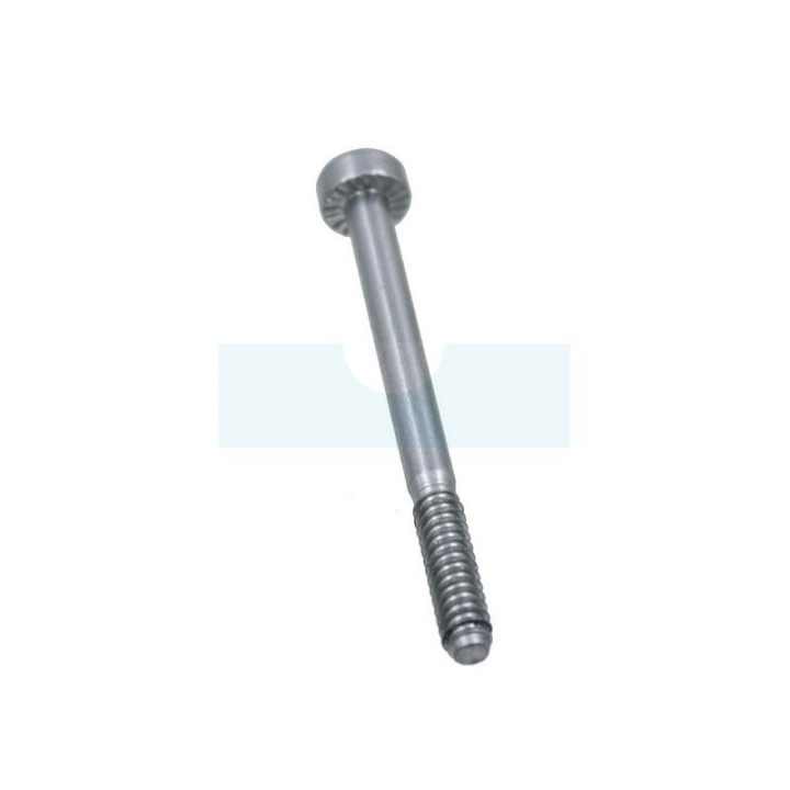 Vis de cylindre pour perche élagueuse / souffleur / taille-haie / tronçonneuse / débroussailleuse Stihl (90754784268)