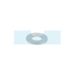 Rondelle pour couteau de scarificateur Pubert (0300401201)