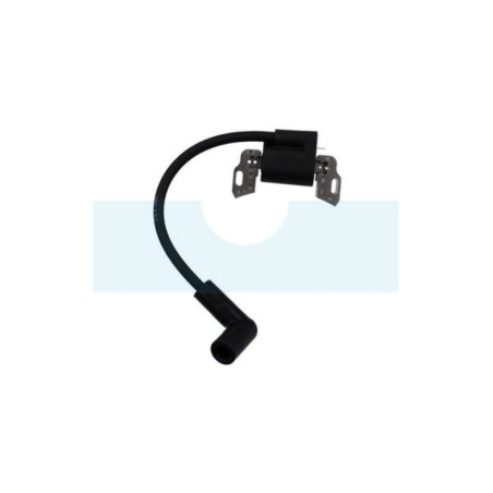 Bobine d'allumage pour moteur Briggs & Stratton (593872)