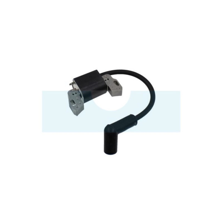 Bobine d'allumage pour moteur Briggs & Stratton (593872)