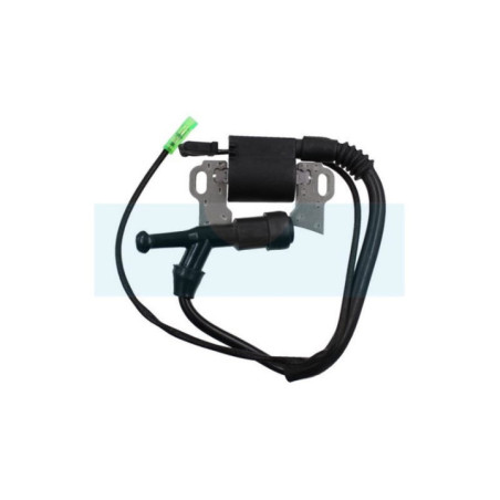 Bobine d'allumage pour moteur Kohler (1758403)