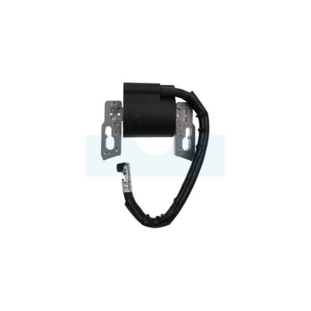 Bobine d'allumage pour moteur Briggs & Stratton (797040)