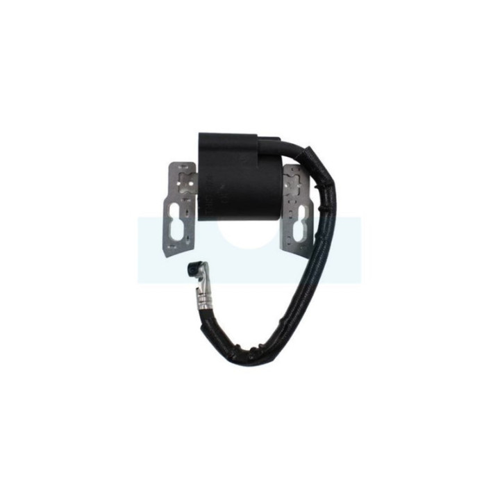 Bobine d'allumage pour moteur Briggs & Stratton (797040)