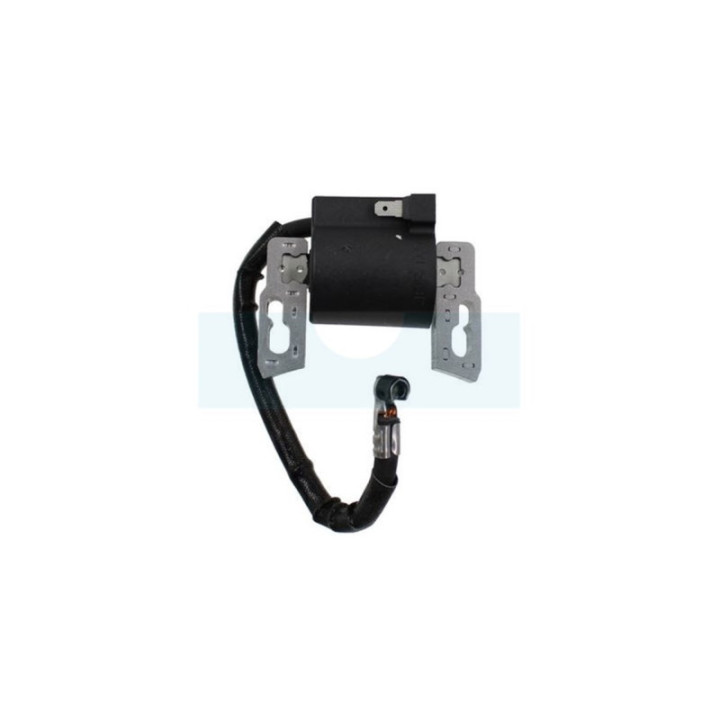 Bobine d'allumage pour moteur Briggs & Stratton (797040)