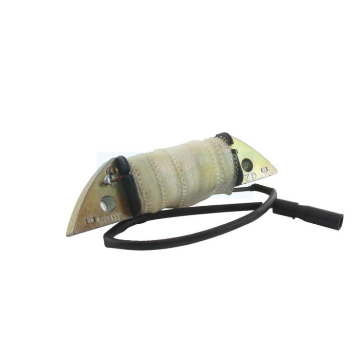 Bobine de charge (éclairage) pour moteur Honda (31510ZE1003)