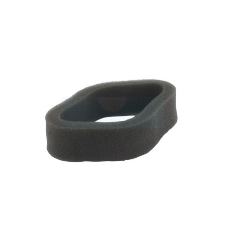 Filtre à air pour moteur Zenoah (550082171)