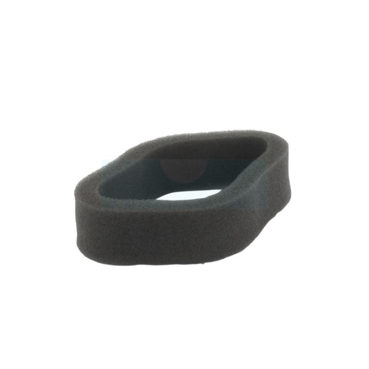 Filtre à air pour moteur Zenoah (550082171)