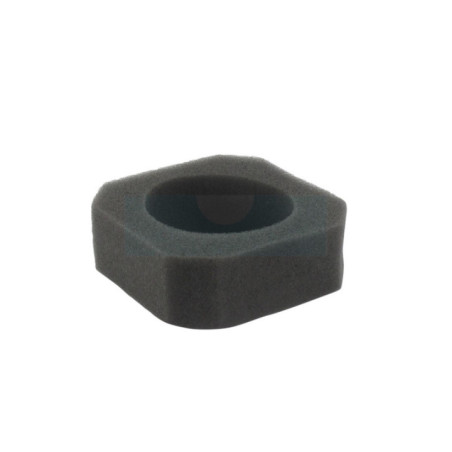 Filtre à air pour Zenoah (263006)