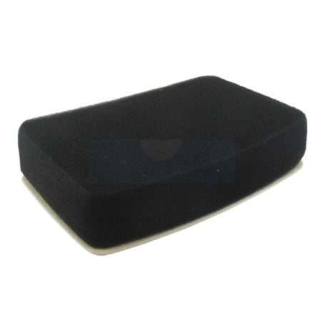 Filtre à air pour Zenoah