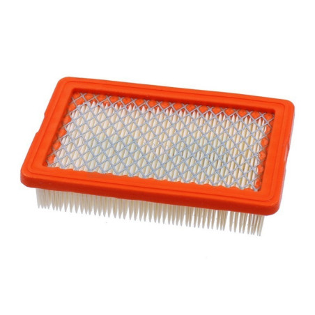 Filtre à air pour atomiseur Efco (56520025R)