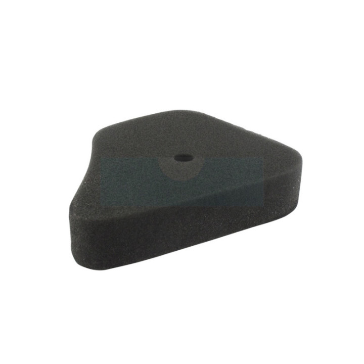 Filtre à air pour moteur Honda (17211ZG1750)