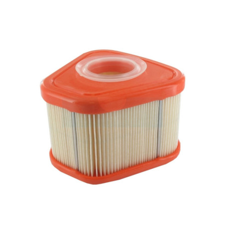 Filtre à air pour moteur Briggs & Stratton (595853)