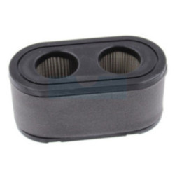 Filtre à air pour moteur Loncin (1279252)
