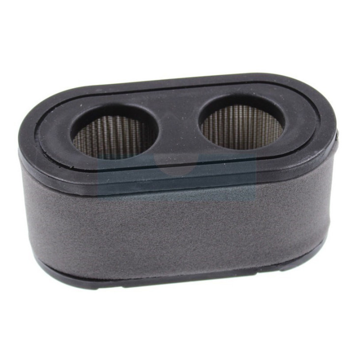 Filtre à air pour moteur Loncin (1279252)