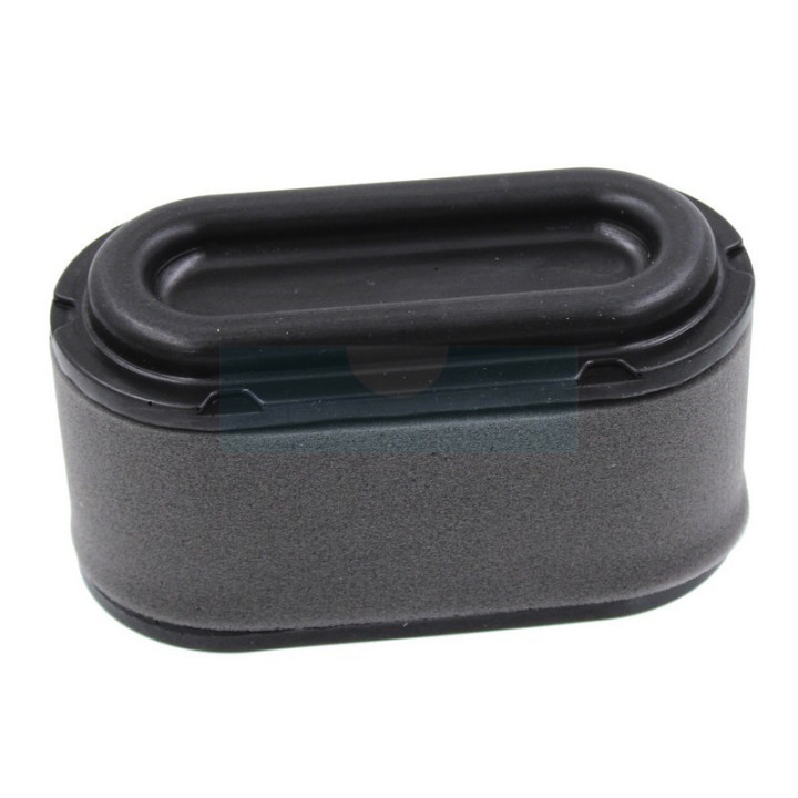 Filtre à air pour moteur Loncin (1279252)