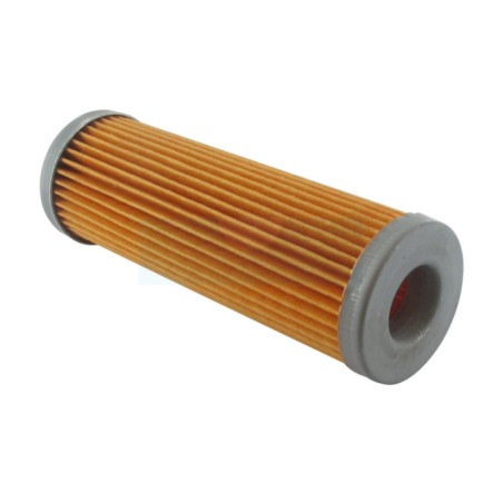 Filtre à essence pour moteur Lombardini (2175162)