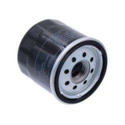 Filtre à huile pour moteur Loncin (1503500230001)