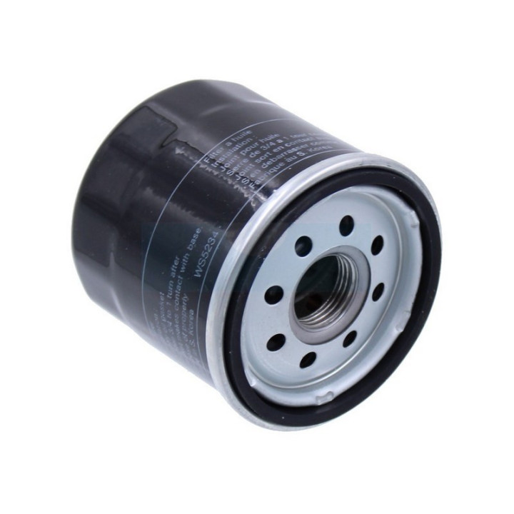 Filtre à huile pour moteur Emak (L66151055)