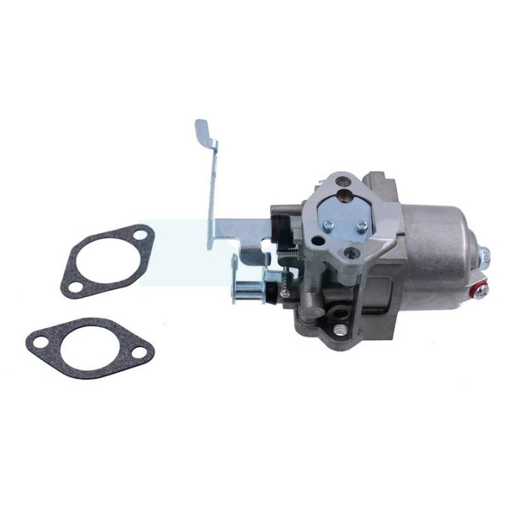 Carburateur pour moteur Robin (2796236420)