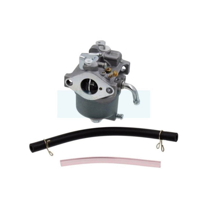 Carburateur pour moteur Kawasaki (150032364)