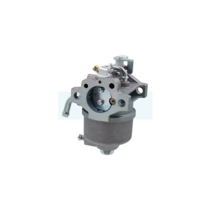 Carburateur pour moteur Kawasaki (150032364)