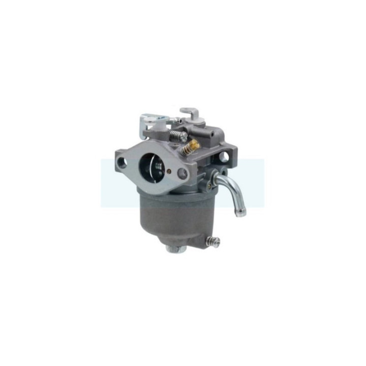 Carburateur pour moteur Kawasaki (150032364)