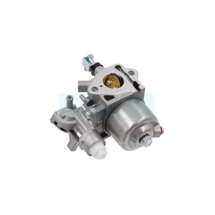 Carburateur pour moteur Robin (2796230220)