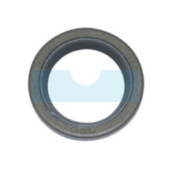 Joint spi pour moteur Briggs & Stratton (299819S)