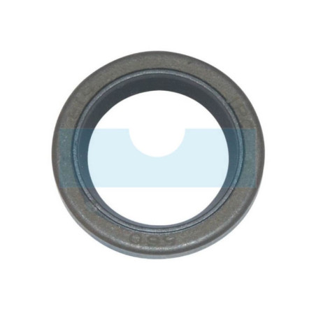 Joint spi pour moteur Briggs & Stratton (299819S)