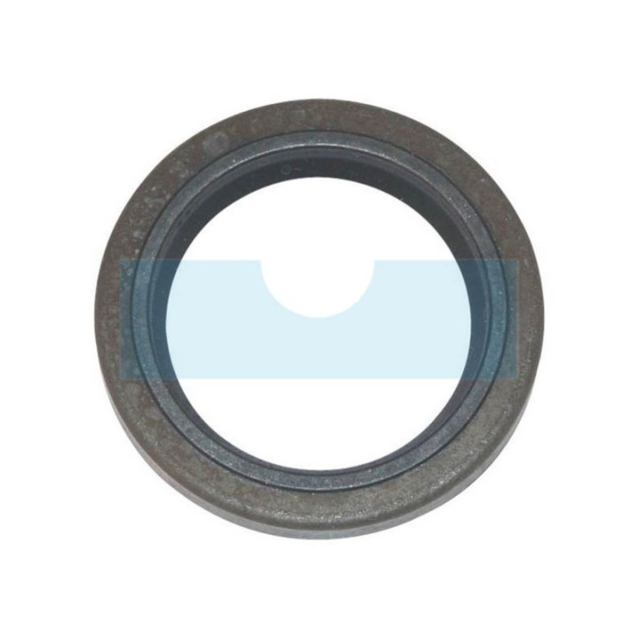 Joint spi pour moteur Briggs & Stratton (391086S)