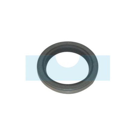 Joint spi pour moteur Briggs & Stratton (294606)
