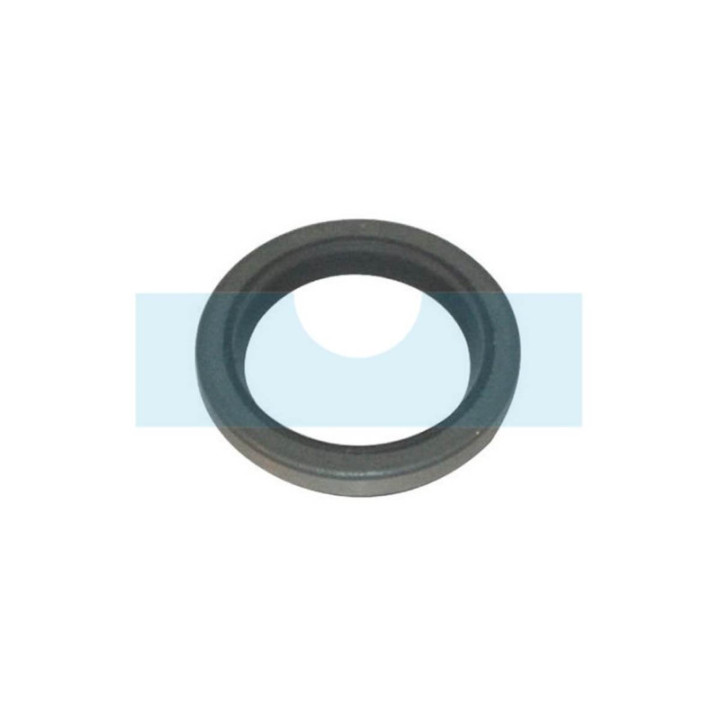 Joint spi pour moteur Briggs & Stratton (294606)