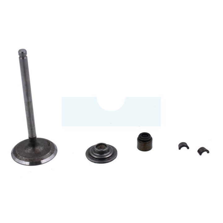 Soupape d'admission pour moteur Briggs & Stratton (495857)