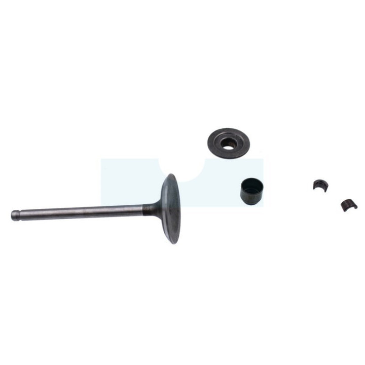 Soupape d'admission pour moteur Briggs & Stratton (495857)