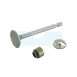 Soupape d'admission pour moteur Briggs & Stratton (795443)
