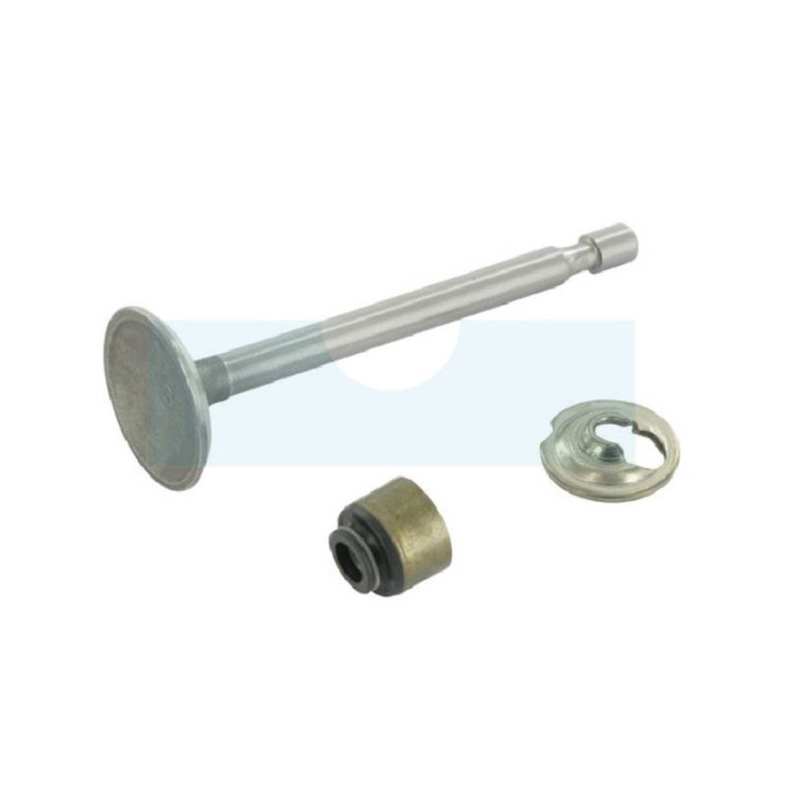 Soupape d'admission pour moteur Briggs & Stratton (795443)