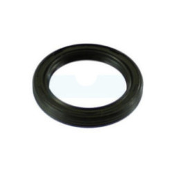 Joint spi pour moteur Briggs & Stratton (291675S)