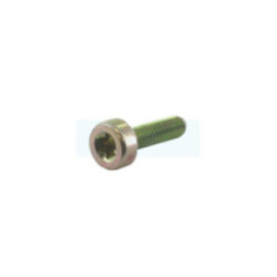 Vis de fixation pour débroussailleuse / perche élagueuse / souffleur / taille-haie / tronçonneuse Stihl (9022-341-0980)