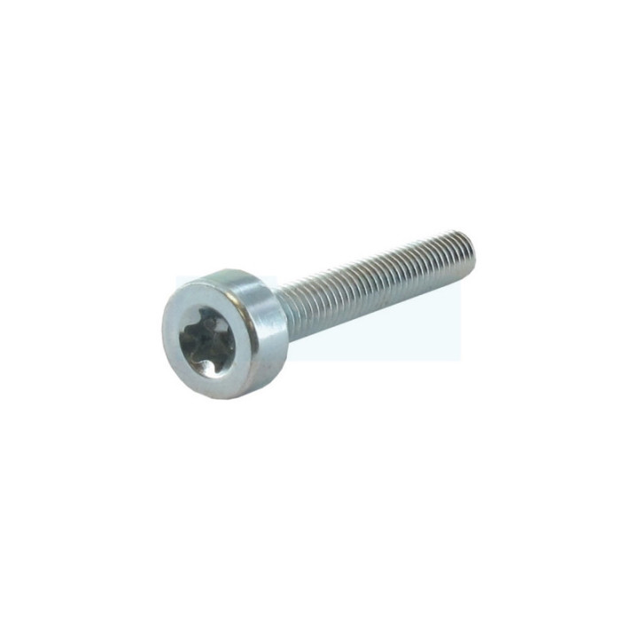 Vis de fixation pour débroussailleuse / souffleur / taille-haie / tarière / tronçonneuse Stihl (9022-341-1070)