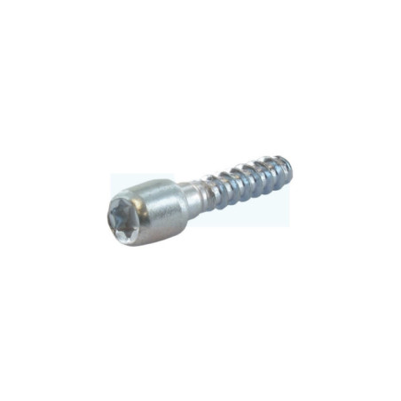 Vis de fixation pour souffleur / tronçonneuse Stihl (1121-791-6105)