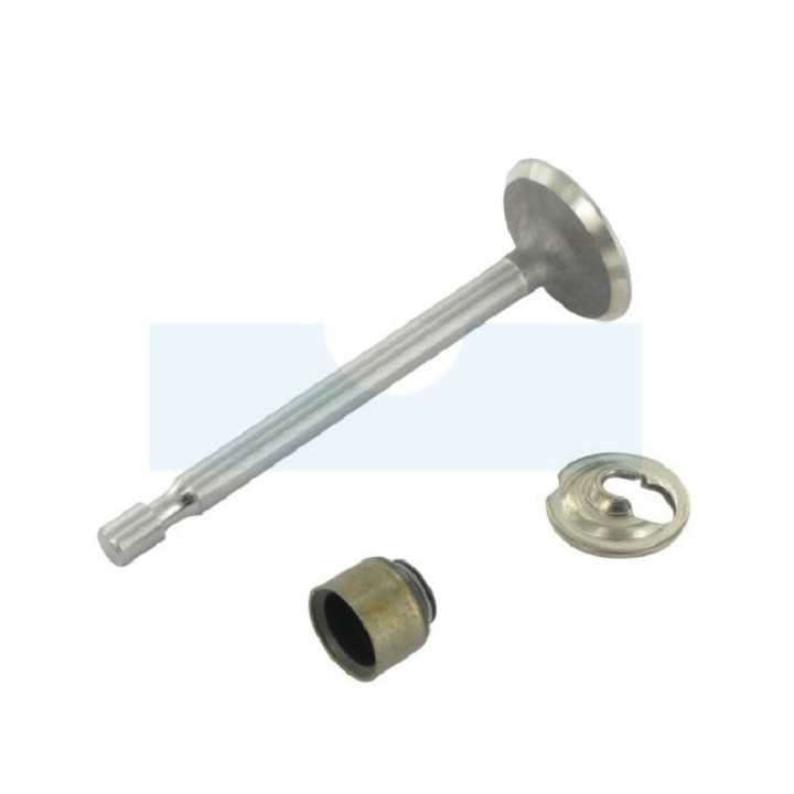 Soupape d'admission pour moteur Briggs & Stratton (795443)