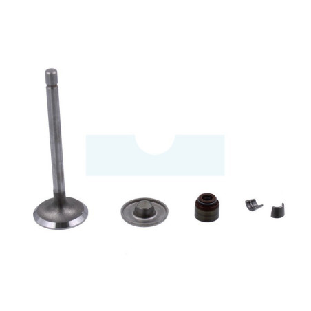 Soupape d'admission pour moteur Briggs & Stratton (807680)