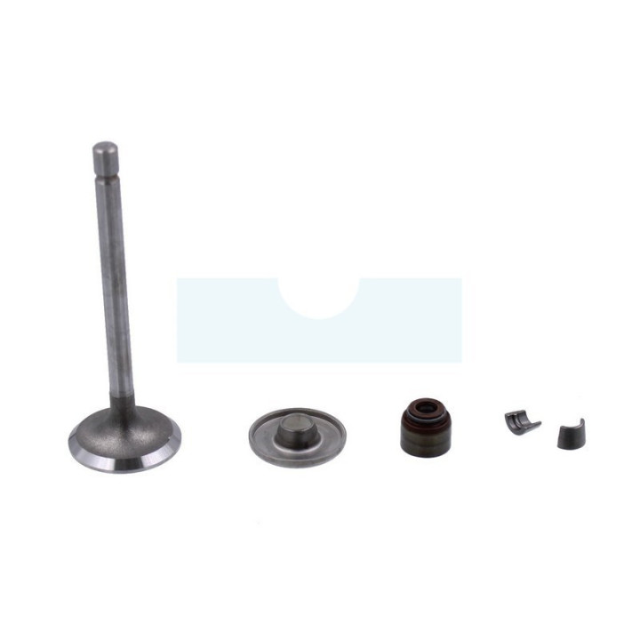 Soupape d'admission pour moteur Briggs & Stratton (807680)