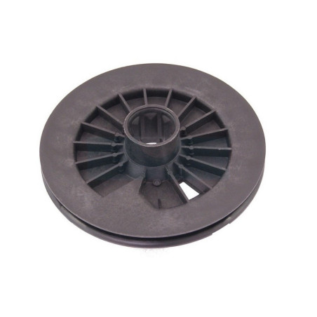 Poulie de lanceur pour moteur Briggs & Stratton (295871)