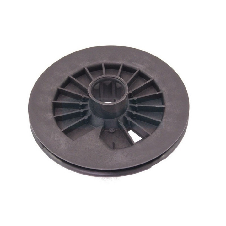 Poulie de lanceur pour moteur Briggs & Stratton (295871)
