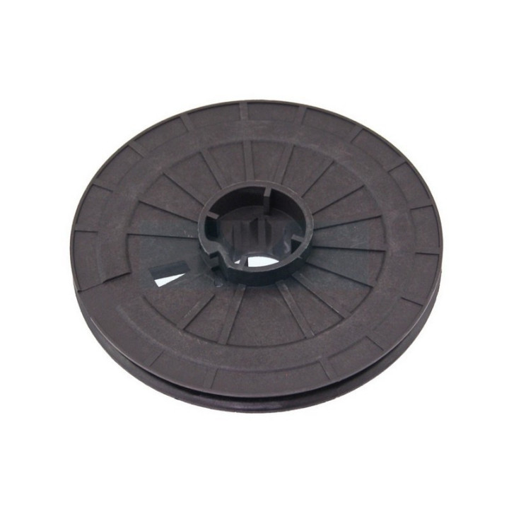 Poulie de lanceur pour moteur Briggs & Stratton (295871)
