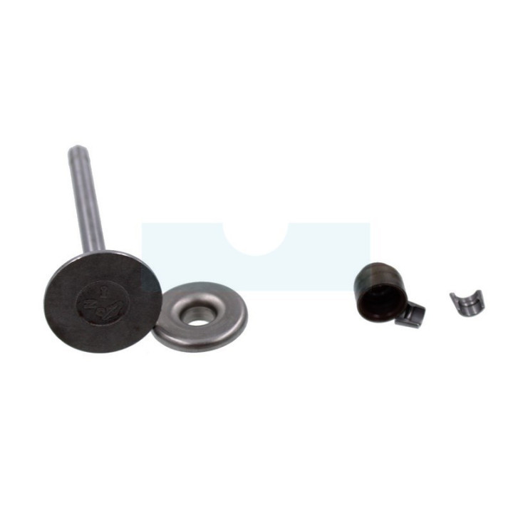 Soupape d'admission pour moteur Briggs & Stratton (807680)
